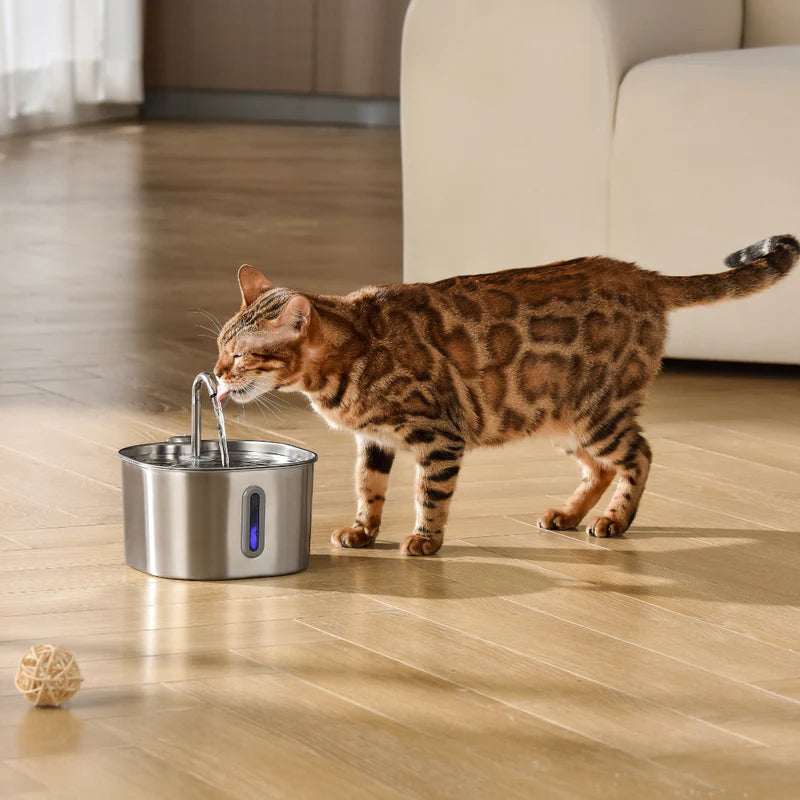 Drink 3x More Water with Faucet-Style Flow